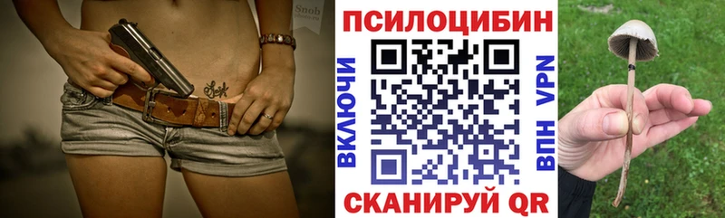 цена   Судогда  Галлюциногенные грибы мухоморы 